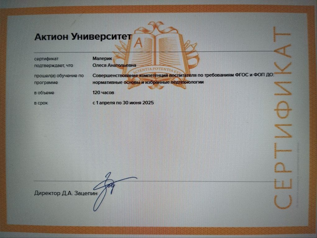 1744377915398.jpg