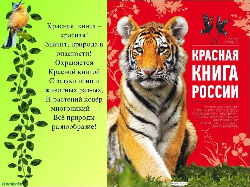 Красная Книга Для Детей Фото